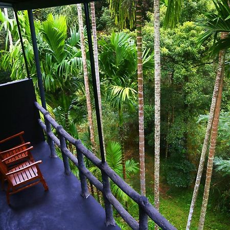 Cool Garden Belihuloya Белиулойя Экстерьер фото