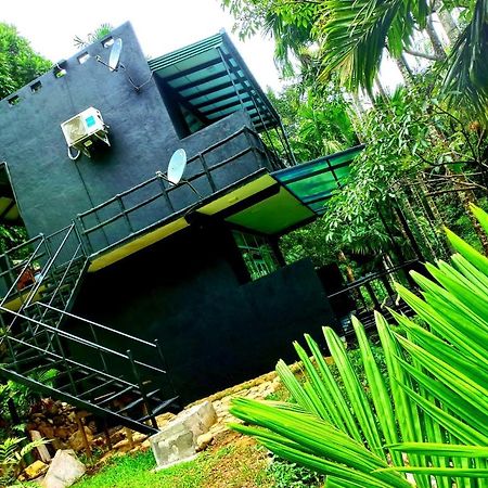 Cool Garden Belihuloya Белиулойя Экстерьер фото